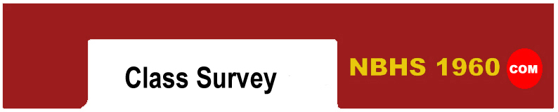 Survey.JPG (39976 bytes)